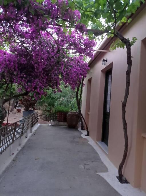 Villa Lidi Stavros  外观 照片