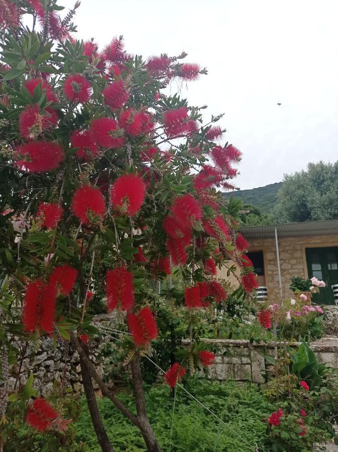 Villa Lidi Stavros  外观 照片