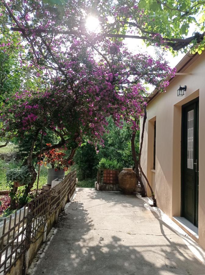 Villa Lidi Stavros  外观 照片