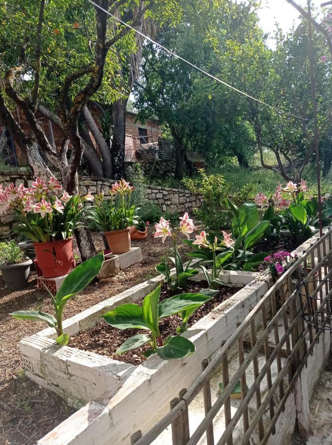 Villa Lidi Stavros  外观 照片